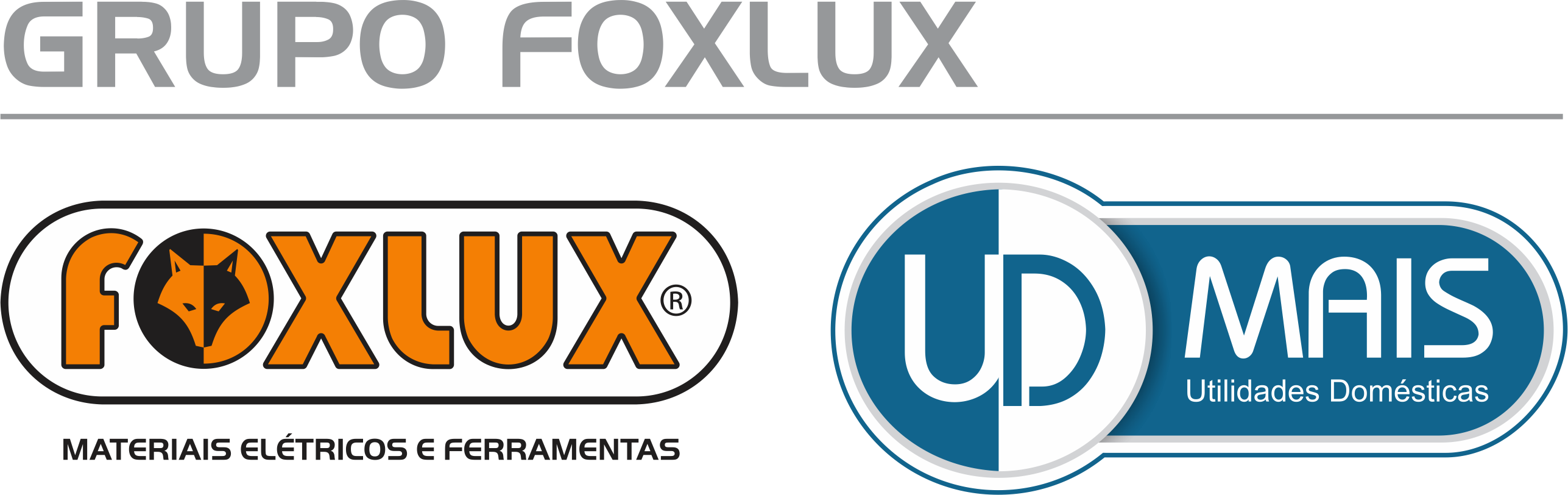 LOGO_FINAL_GRUPOFOXLUX